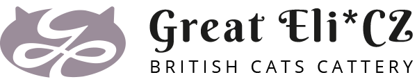 Primary Raster logo